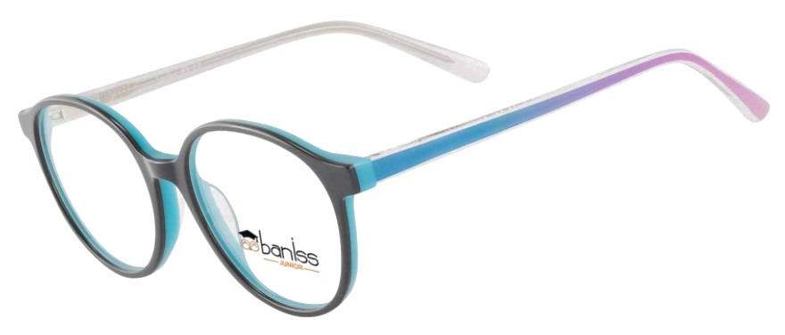 картинка BANISS BS 9021 01 