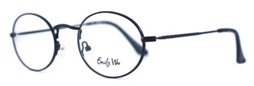 Emily Wu 4143 6021 