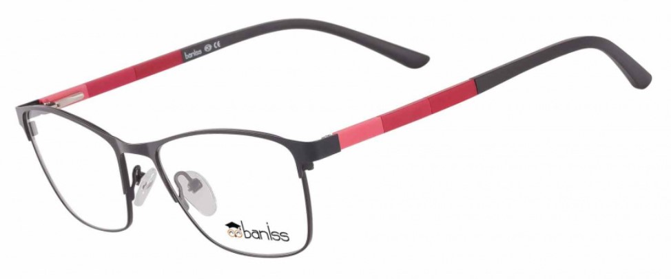 картинка BANISS BR 5070 
