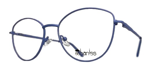 картинка BANISS BR 5088 