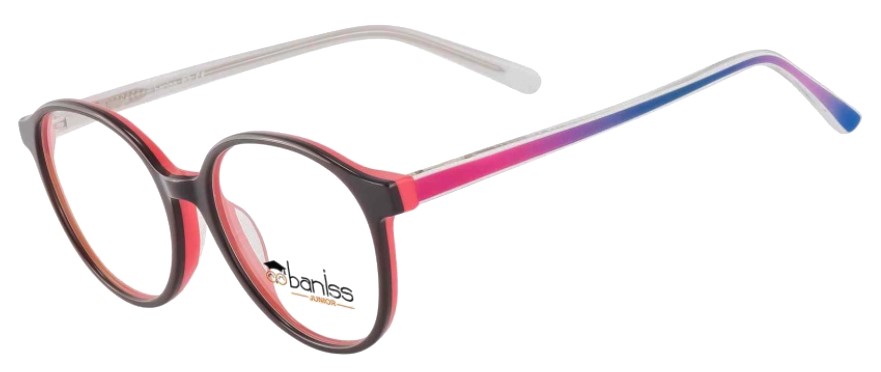 картинка BANISS BS 9021 03 