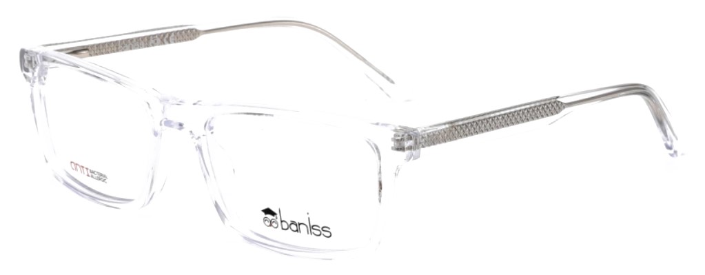 картинка BANISS BA 6010 02 