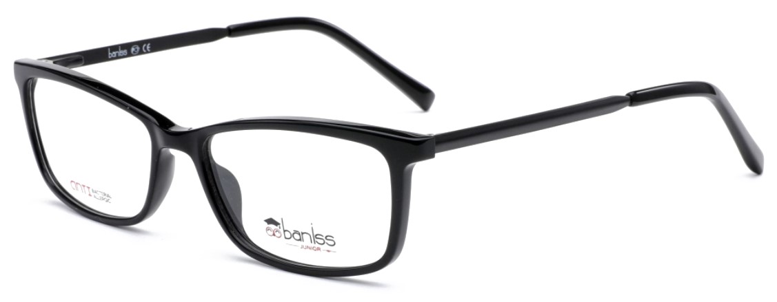 картинка BANISS BS 7109 01 
